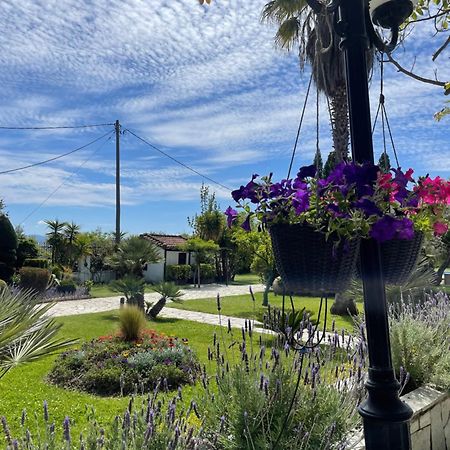 Villa Olive Áno Lekhónia Dış mekan fotoğraf