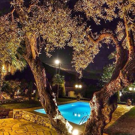 Villa Olive Áno Lekhónia Oda fotoğraf