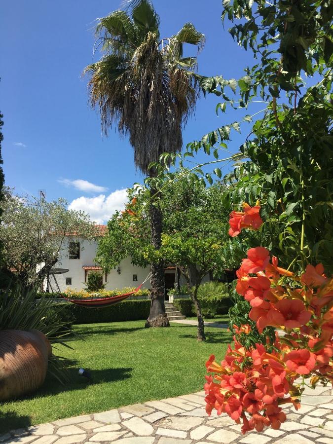 Villa Olive Áno Lekhónia Dış mekan fotoğraf