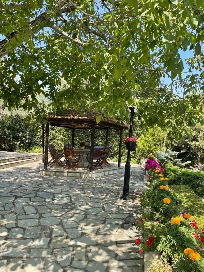 Villa Olive Áno Lekhónia Dış mekan fotoğraf