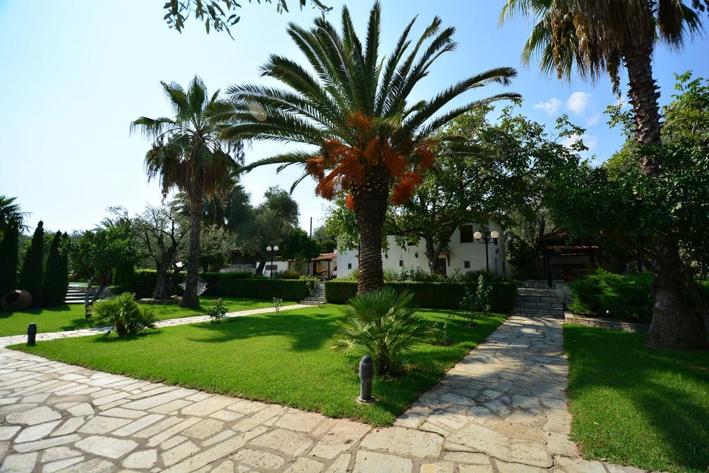 Villa Olive Áno Lekhónia Oda fotoğraf