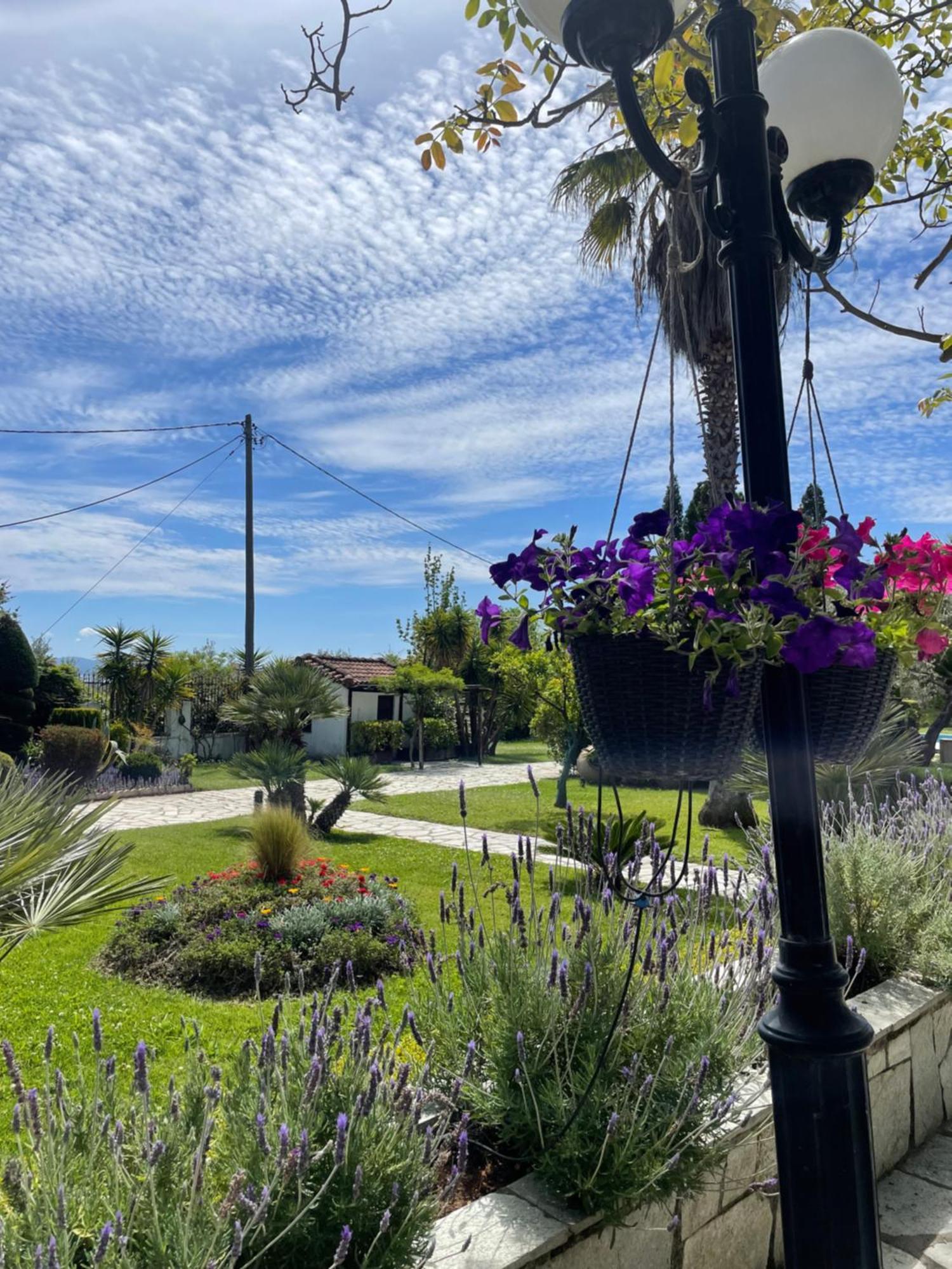 Villa Olive Áno Lekhónia Dış mekan fotoğraf
