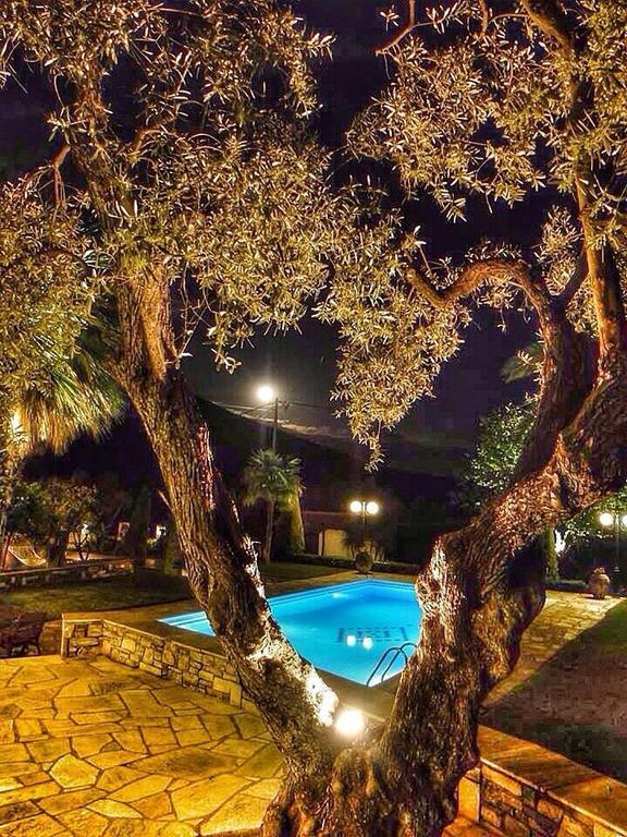 Villa Olive Áno Lekhónia Oda fotoğraf